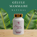 GELULES MAMMAIRE