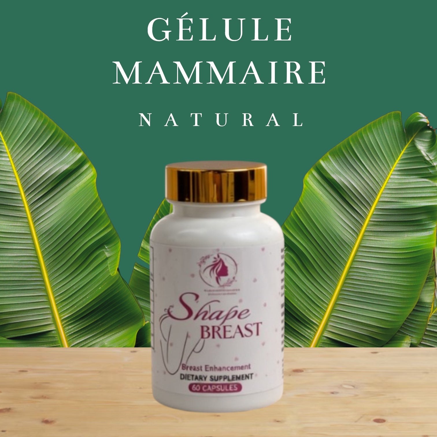 GELULES MAMMAIRE